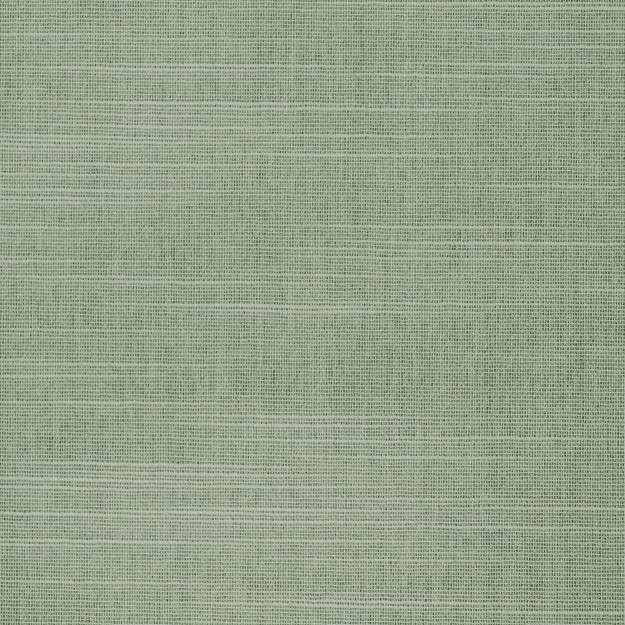 Hayworth Fern Roller Blinds